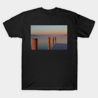 Morning Frost and Fog T-Shirt